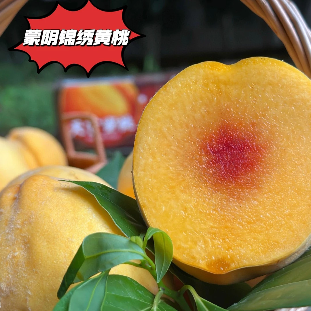 山东蒙阴锦绣黄桃/新鲜采摘应季黄肉红心/果园直采/净重4.5斤