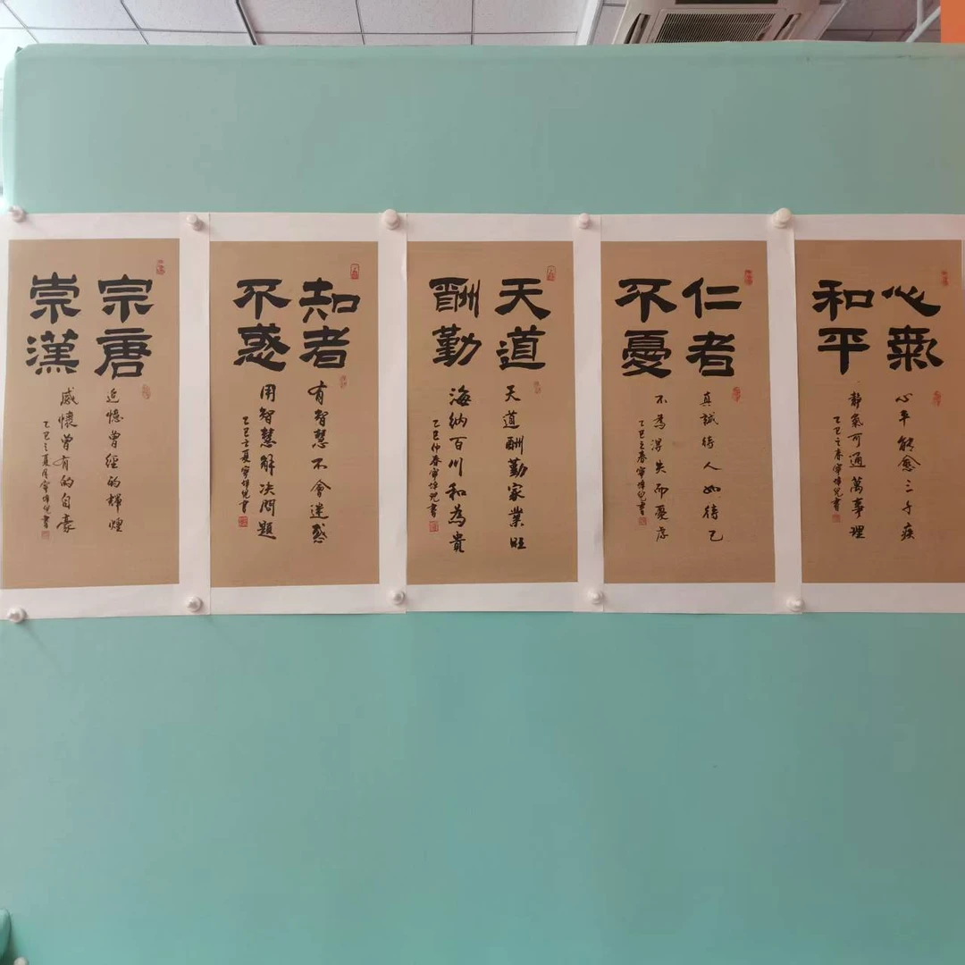 宁老师精品书法作品随机画面