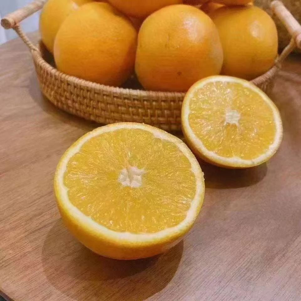 产地直发新鲜橙子当季水果甜橙