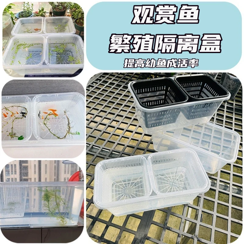 生态缸专用加厚透气方盆定植篮水培器皿盆栽绿植控根
