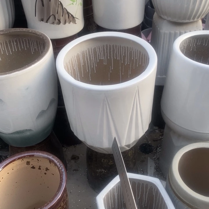 低腰白钻石大号口33/36