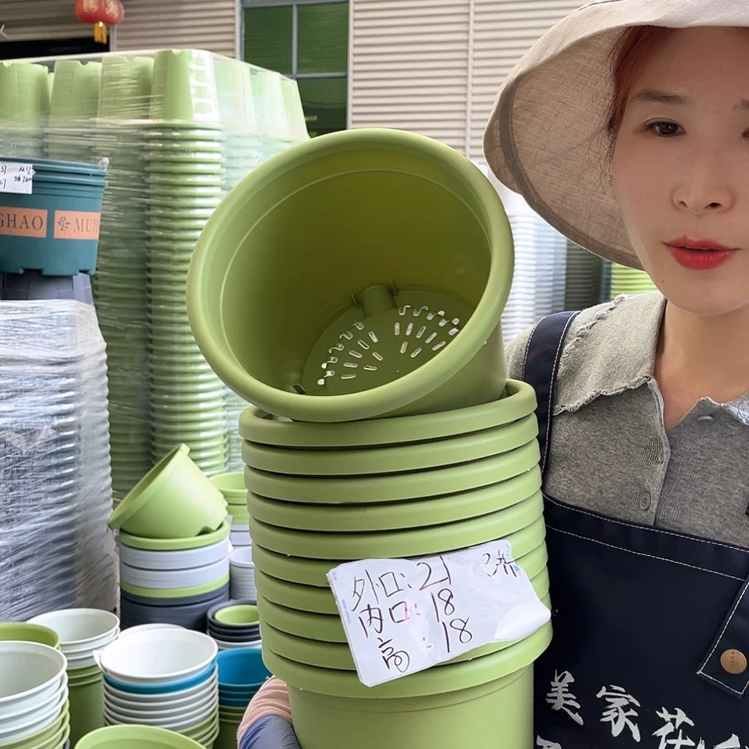 四季盆3#果绿色10个含托