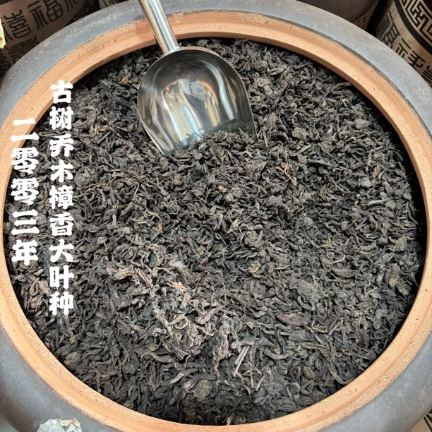 2003年古树乔木樟香大叶种熟茶 温和醇厚润养朴实樟香茶底糯滑甜