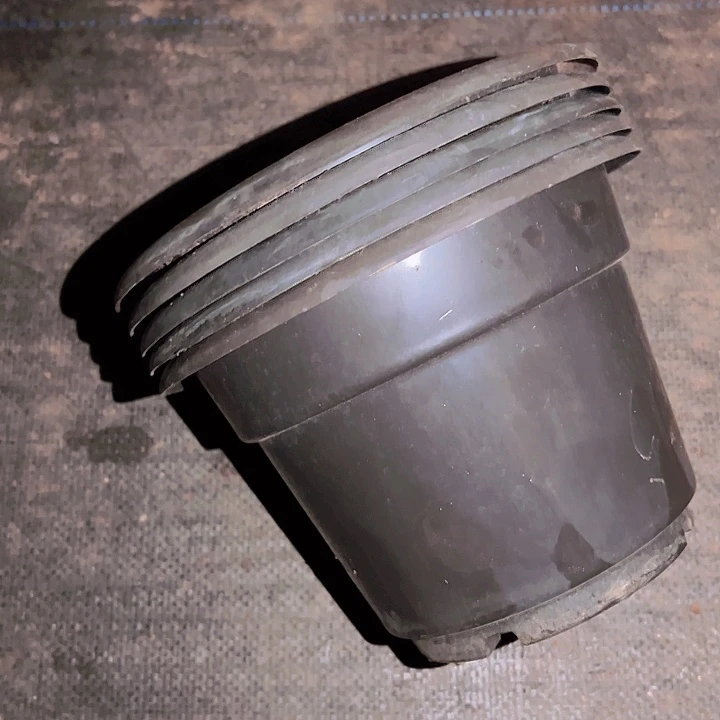 黑色圆盆口径18高12发16个