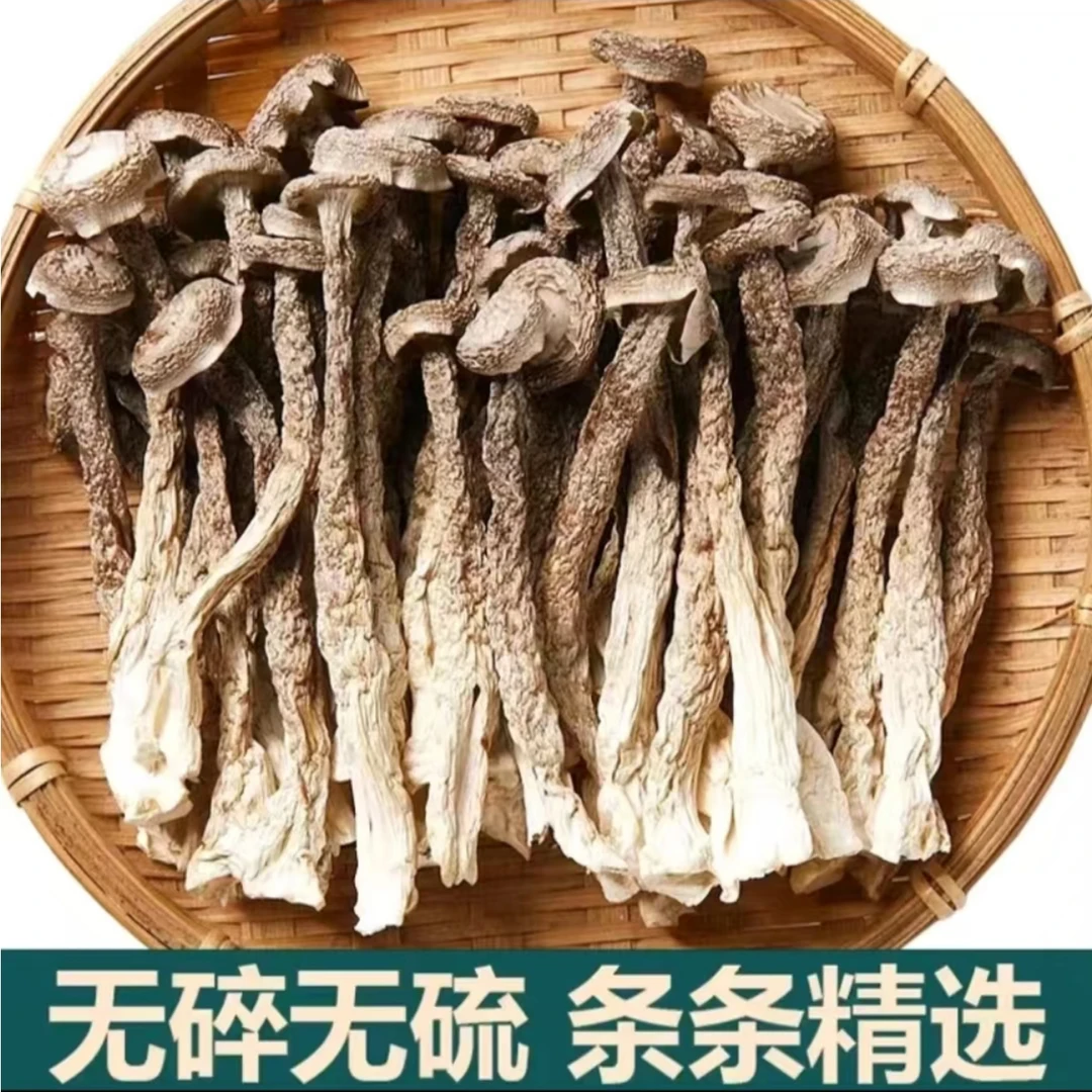 【拍1发4 精选鹿茸菇】试吃运费险脆脆菇虫草煲肉炖汤菌菇干货