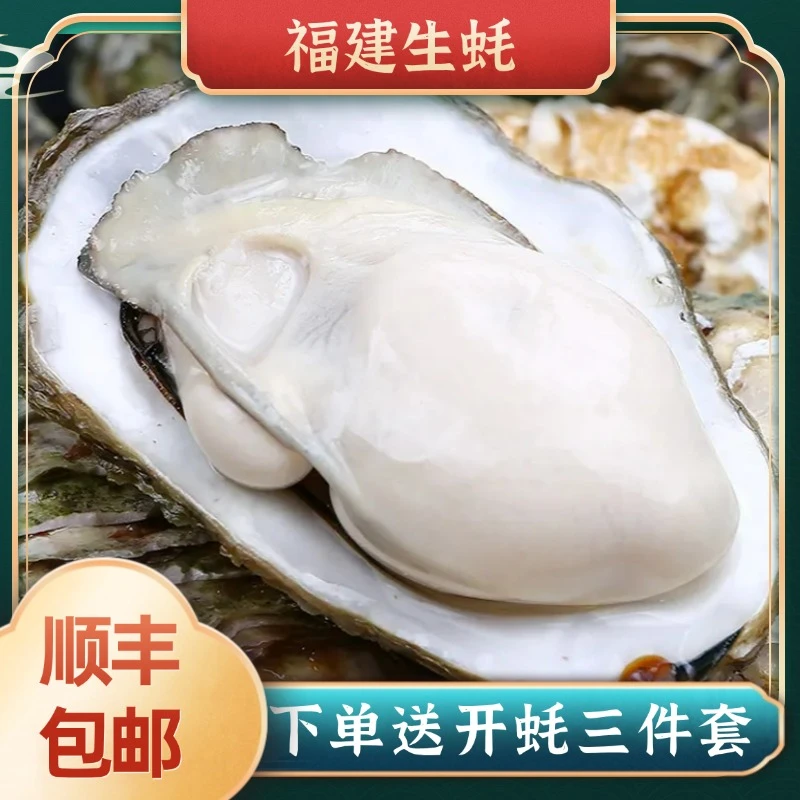 【顺丰包邮】福建海鲜生蚝新鲜原产地直发肥美鲜美配蒜蓉生蚝4斤装