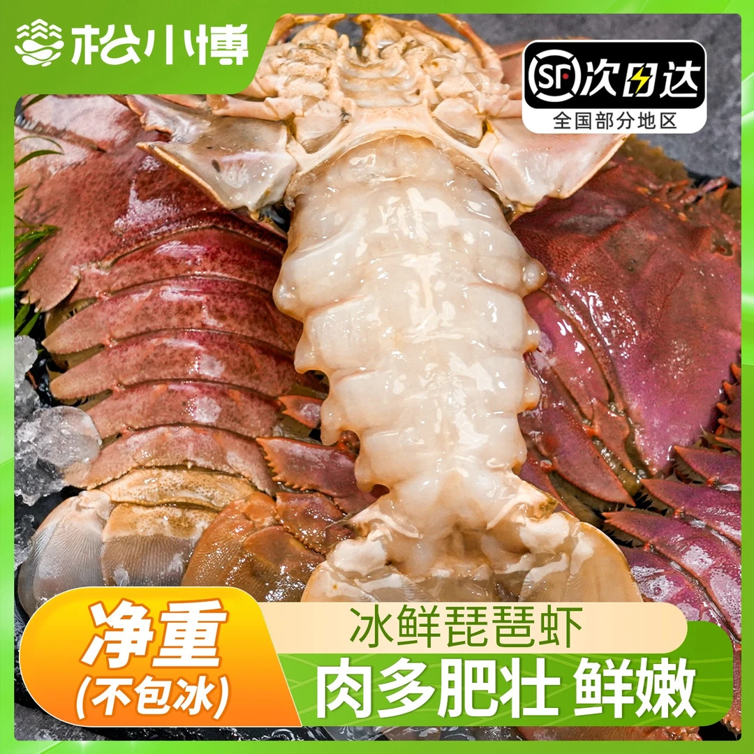 【达人】舟山琵琶虾船冻九齿扇虾海鲜虾姑濑尿虾生鲜深海冷冻爬虾