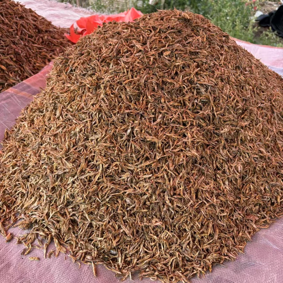 小鱼干小虾干葛员外赶集