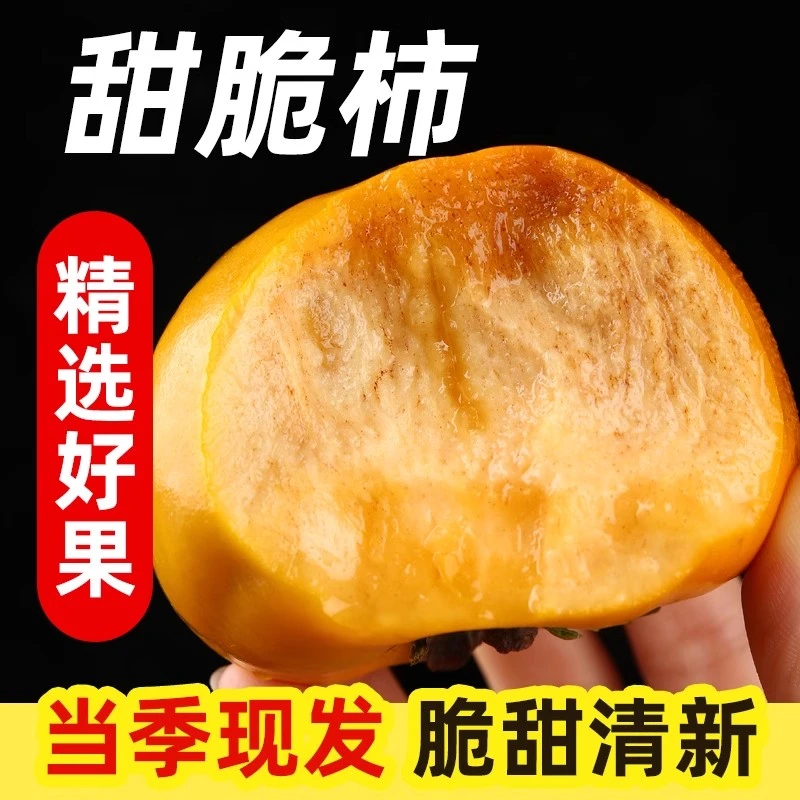 巧克力冰糖心阳丰脆柿新鲜采摘香甜多汁不涩应季水果