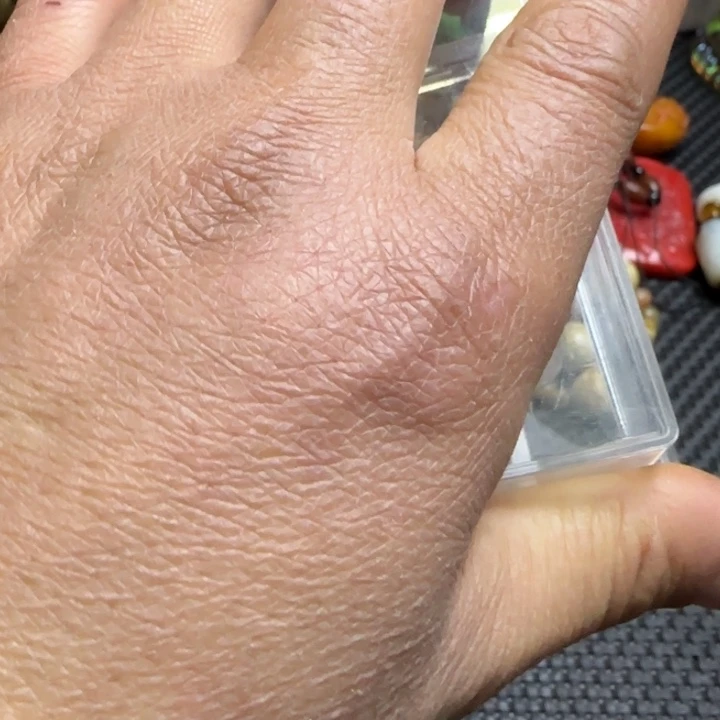 紫金钵盂菩提吊坠