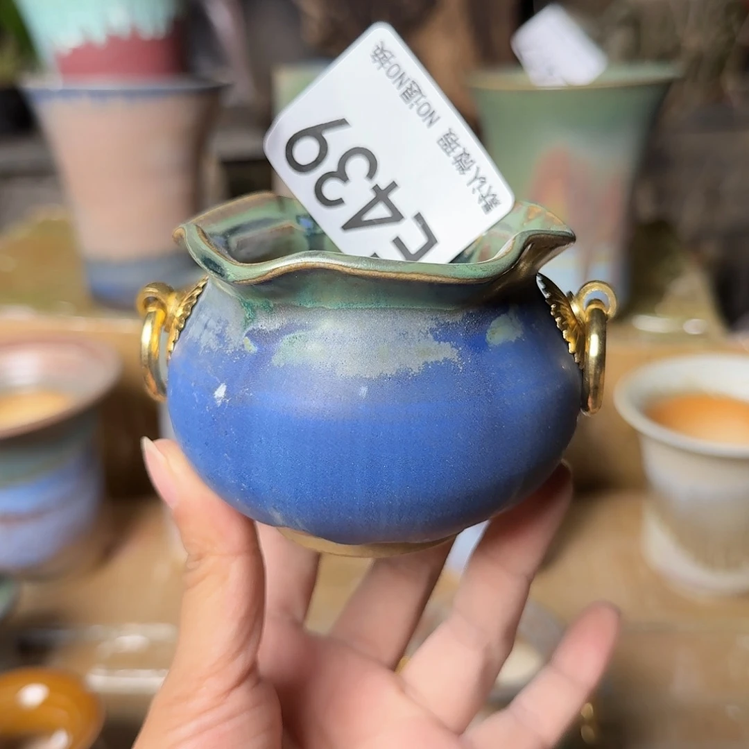 重庆小燕子欢迎大家439