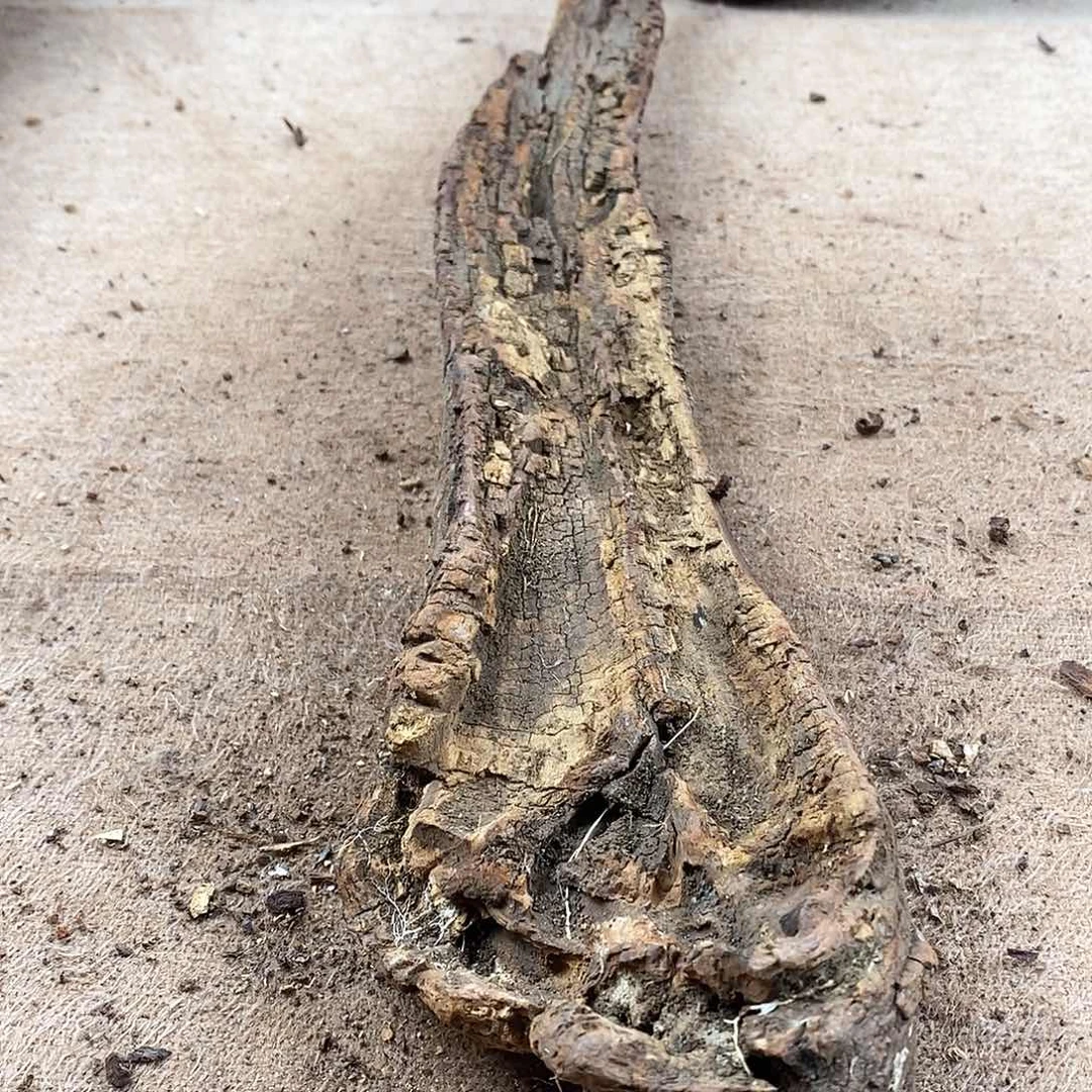 木中**起黄花梨随形料子