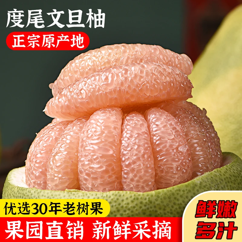 家福农场 柚场直发度尾红心文旦柚新鲜采摘中秋礼品水果30-50斤装