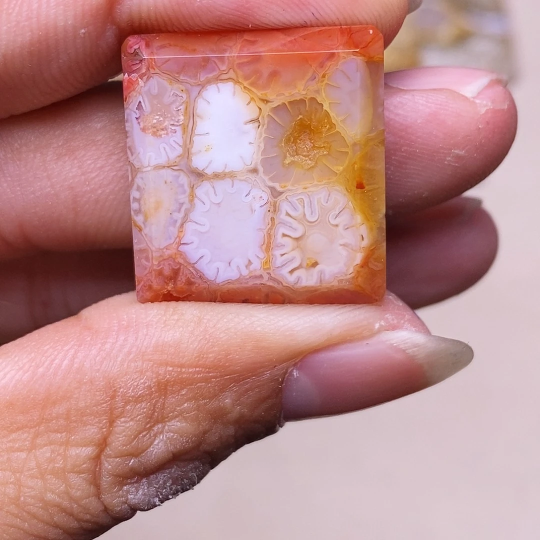 没***薅硅化玉合金珊瑚玉