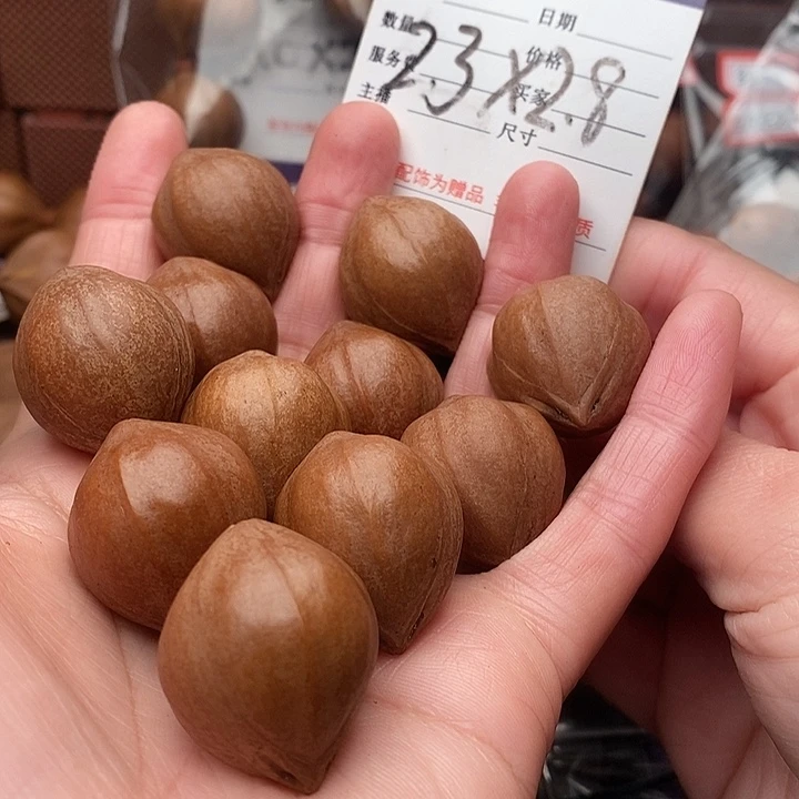 手串/手链橄榄核吴*学