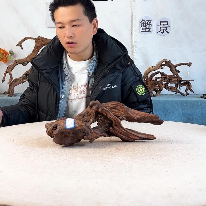 沉木造景爬宠造景