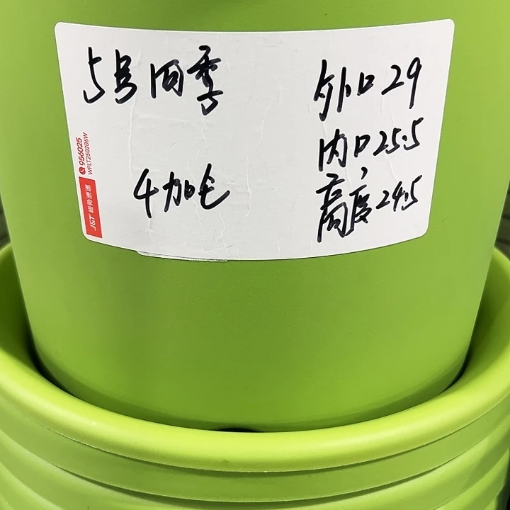 特价5号口29高24.5白色5只无托