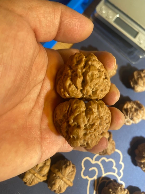 文玩核桃蛤蟆头核桃