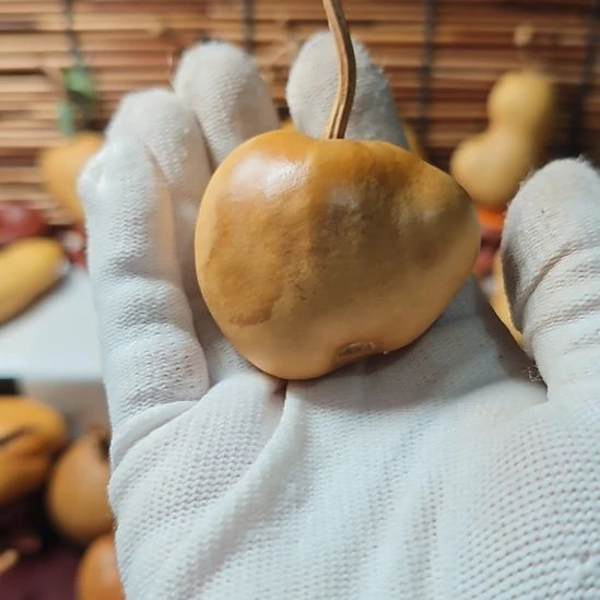 牧***童精品土豆葫芦一物一拍