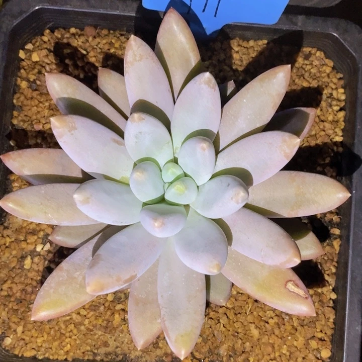 你也快回来吃饭哦我