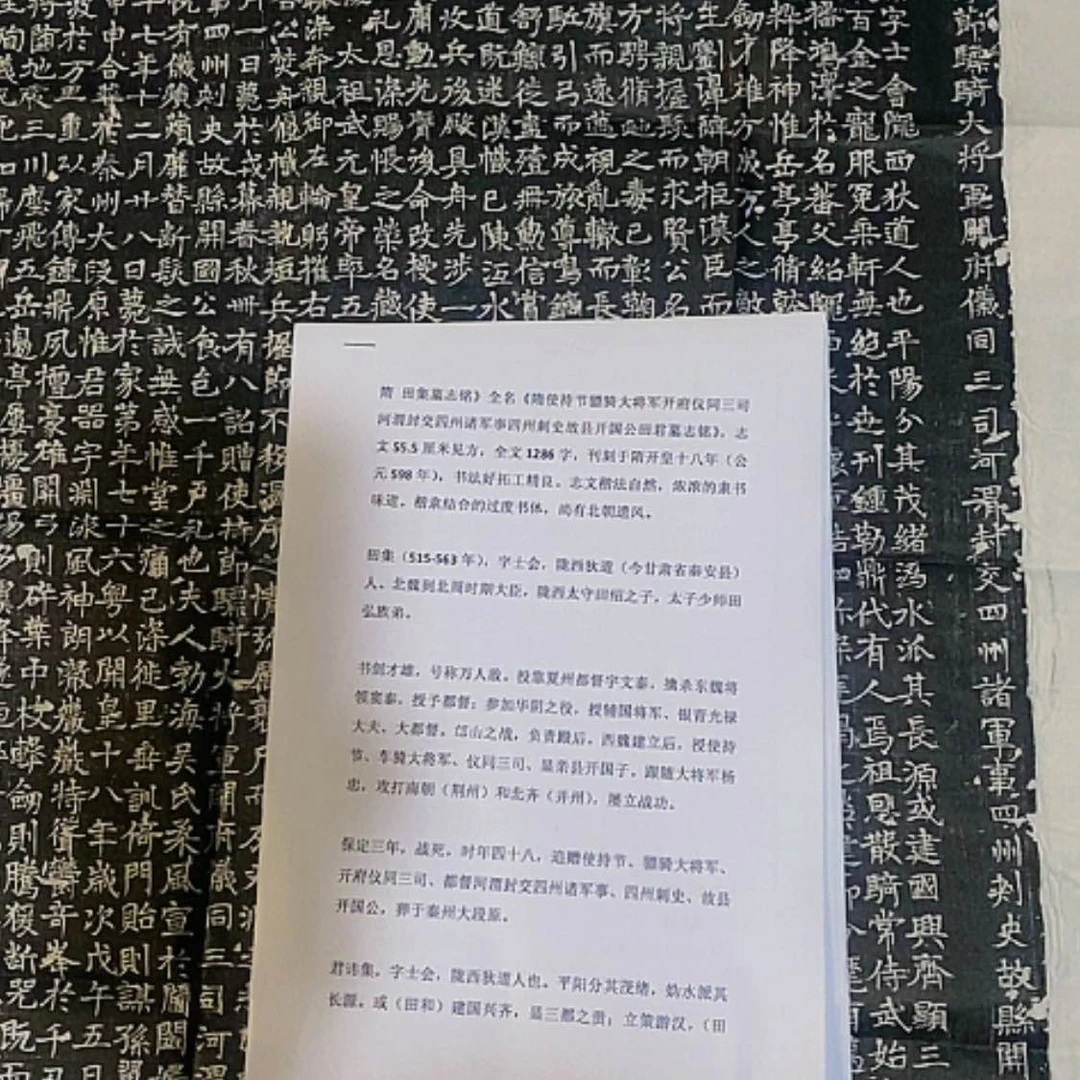 【闪购商品】拓片用纸其他雪****者田集