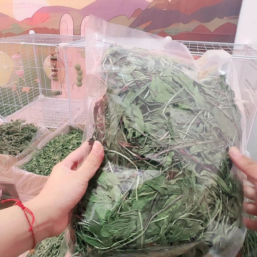 烘干野生蒲公英250g