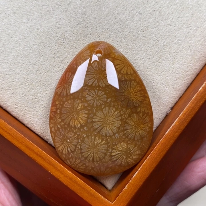 硅化珊瑚（珊瑚玉）手镯未镶嵌