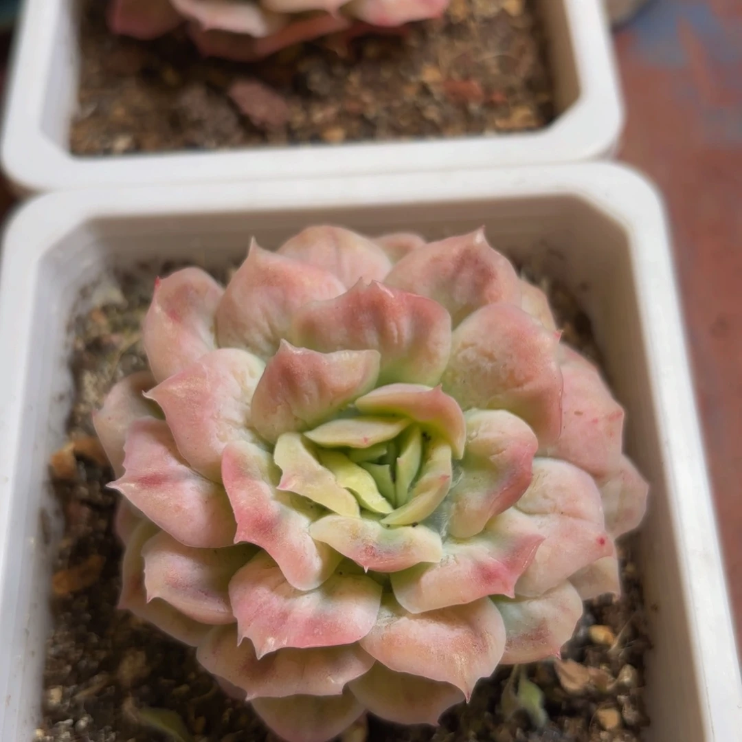 一***、哈哈哈哈哈哈哈哈哈