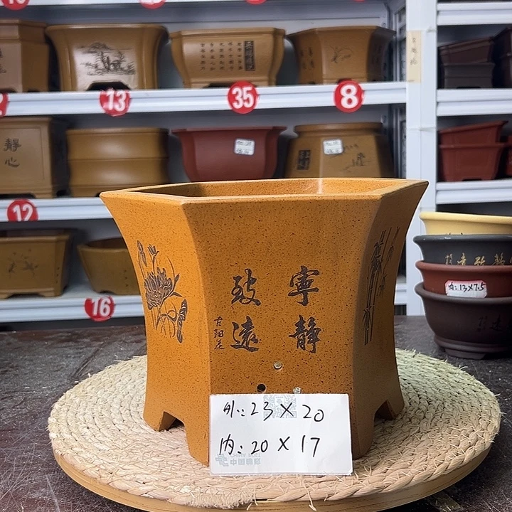 紫砂花盆蛇年大吉