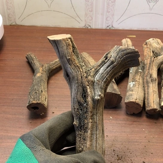 大果紫檀（缅甸花梨）徐****衍