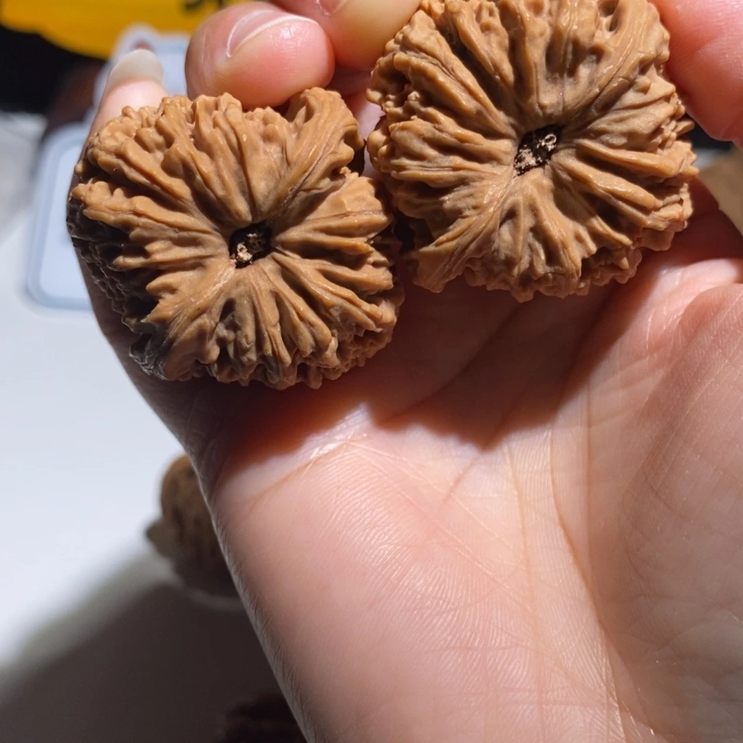 *****大叶紫檀（黑酸枝木类）