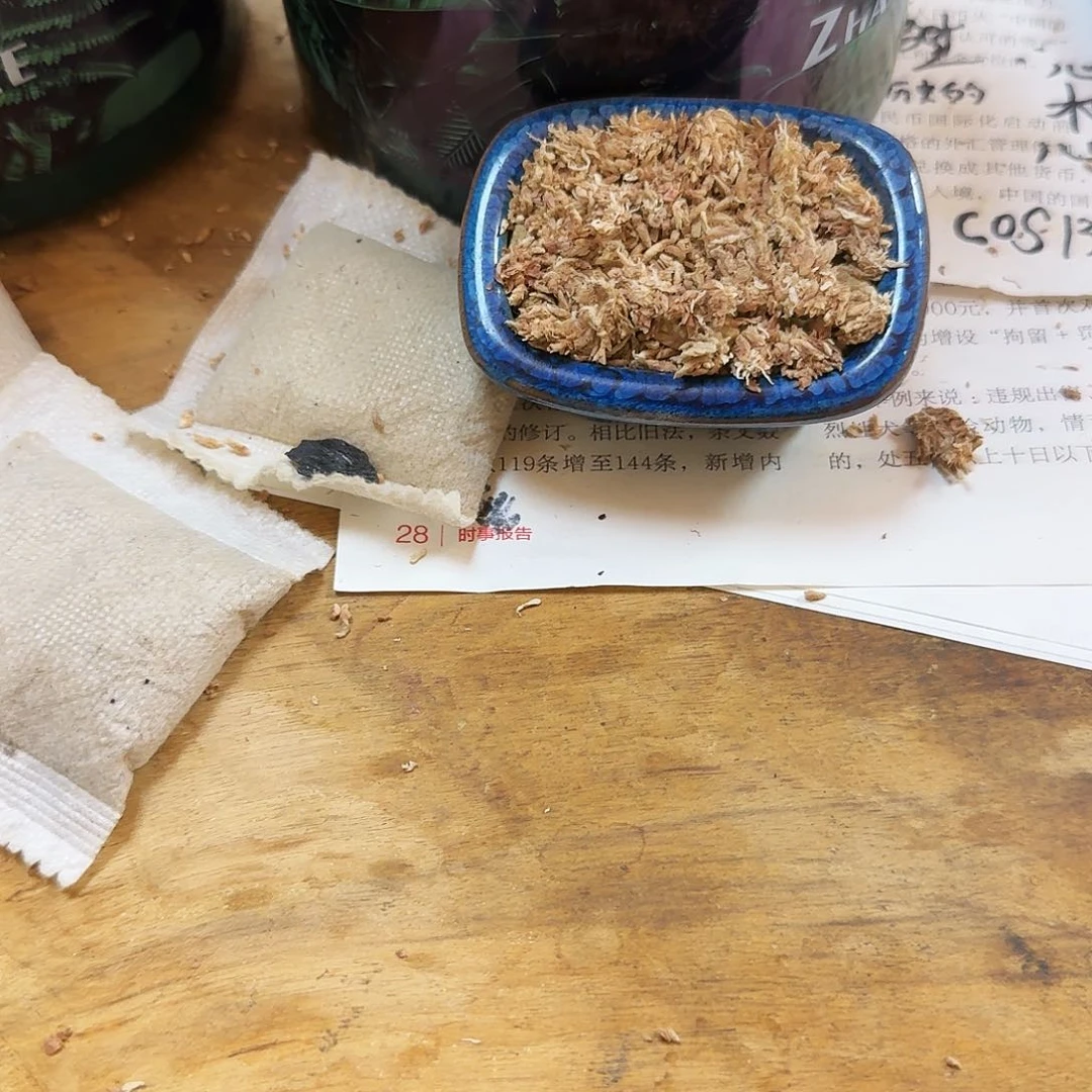 七星智力毛毛虫水苔半斤包邮，青海西藏新疆勿拍