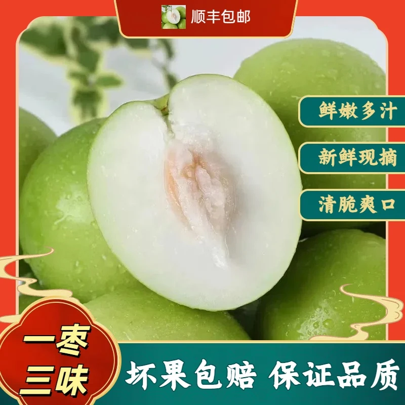 c1【新店开业】台湾牛奶枣贵妃枣当季清甜现摘绿色健康孕妇水果