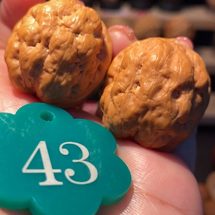 木质类肌肉蟾32尺寸