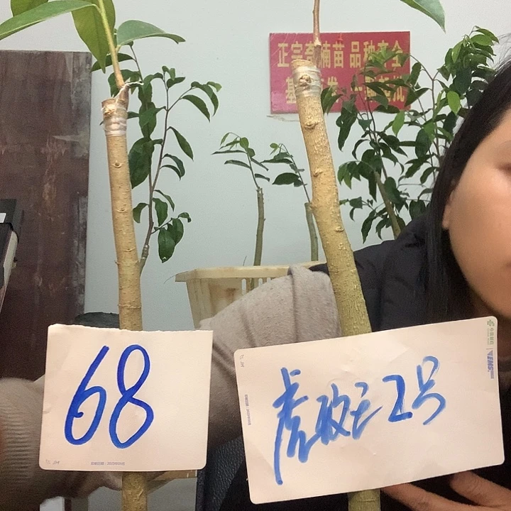 完全开放2222222222