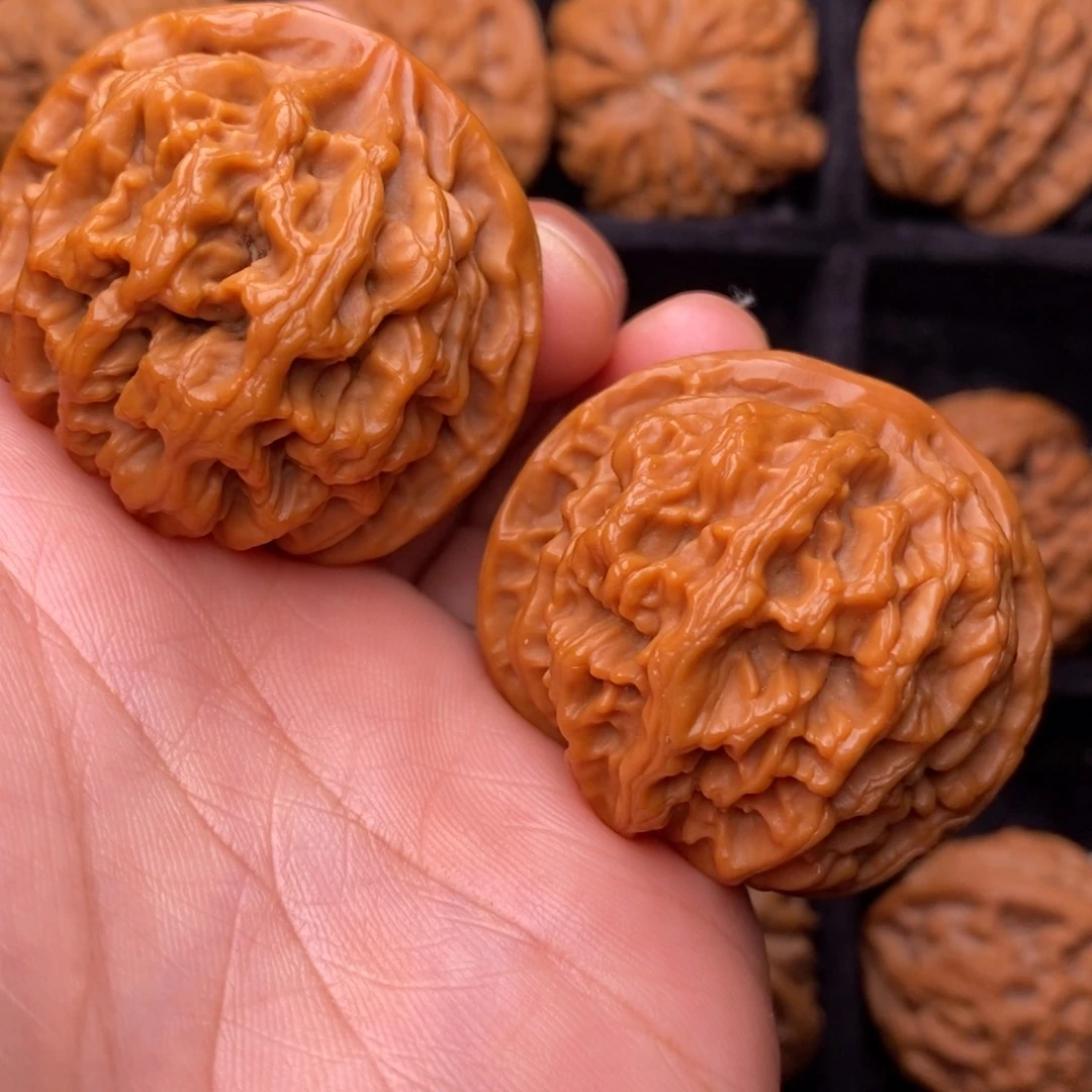 把件文玩核桃秦岭野生植物资源
