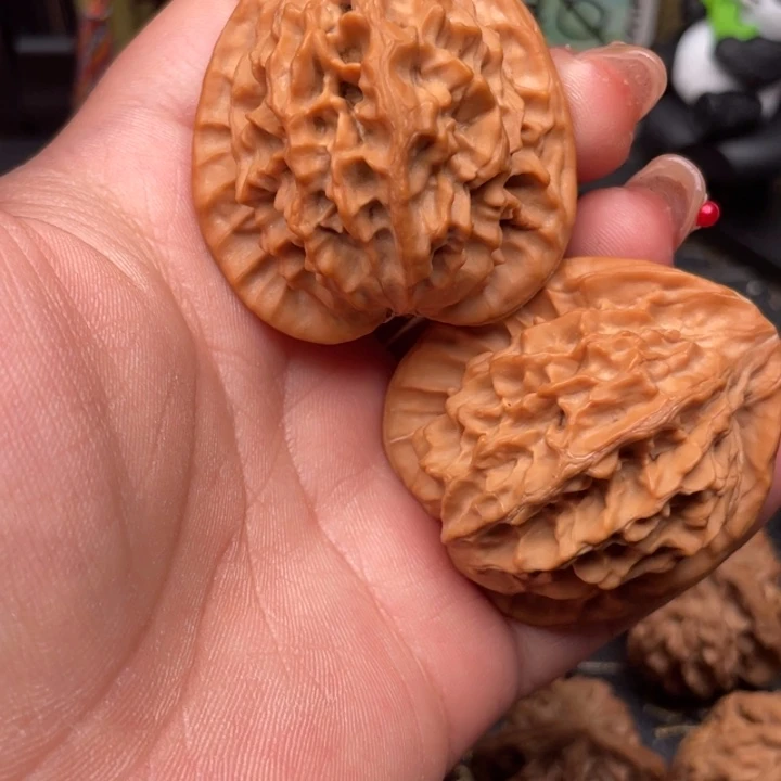 T***Q核桃41尺秦岭野生金公子