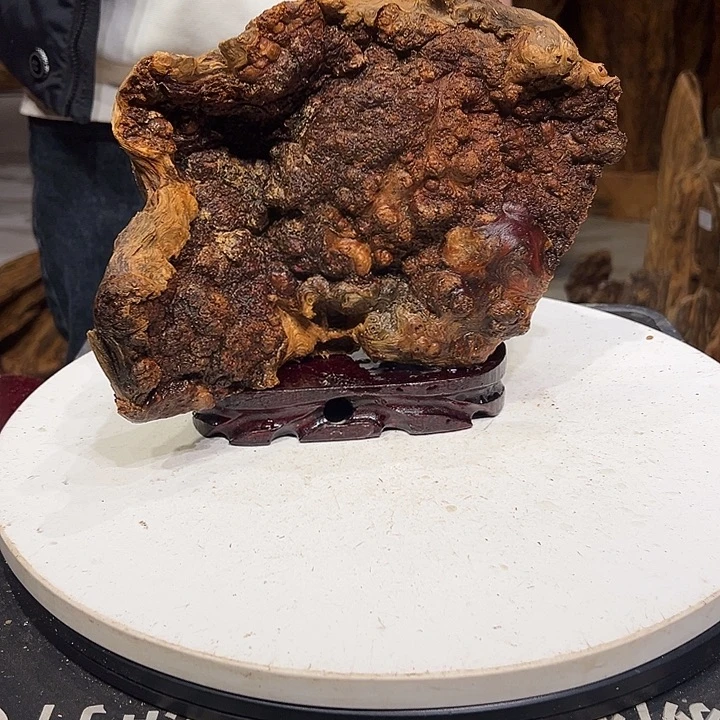 松木（琥珀木）湄*