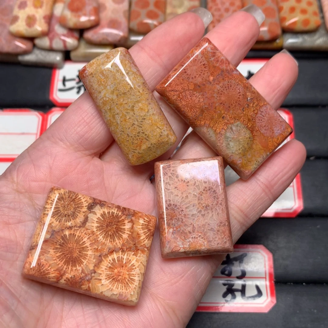 【闪购商品】未镶嵌颈饰硅化玉灵*