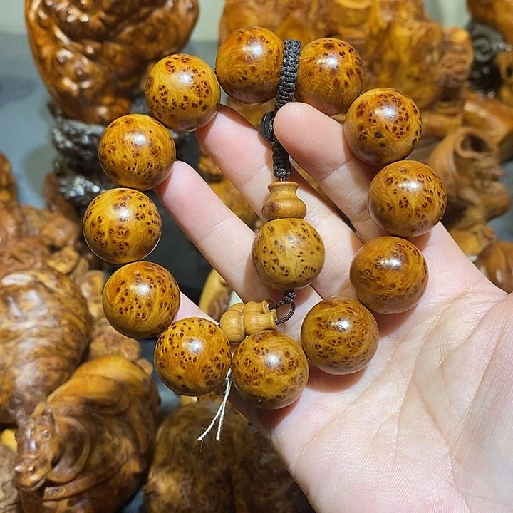 柏木太行崖柏陈化