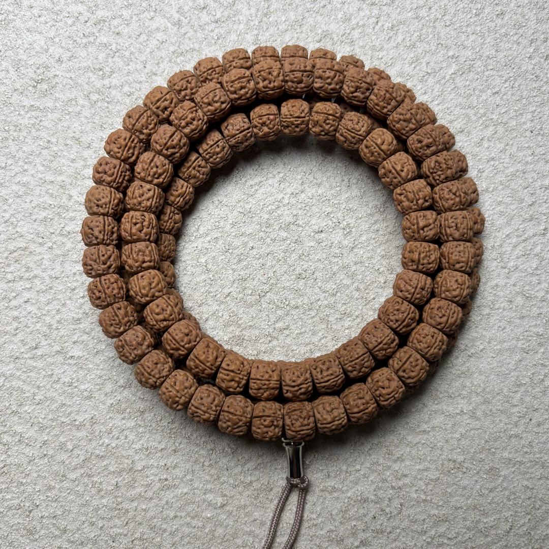 【云端盘龙】教授出品原生态藏式龙切高密度盘龙小金刚菩提脖挂