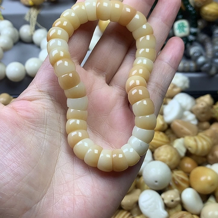 手串菩提根/象牙果直切小肠11通货