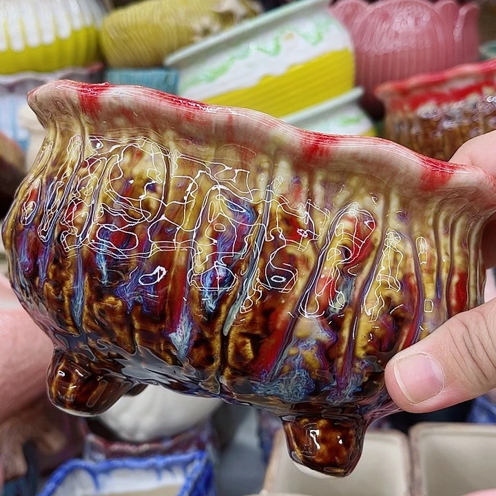 多肉植物陶瓷花盆
