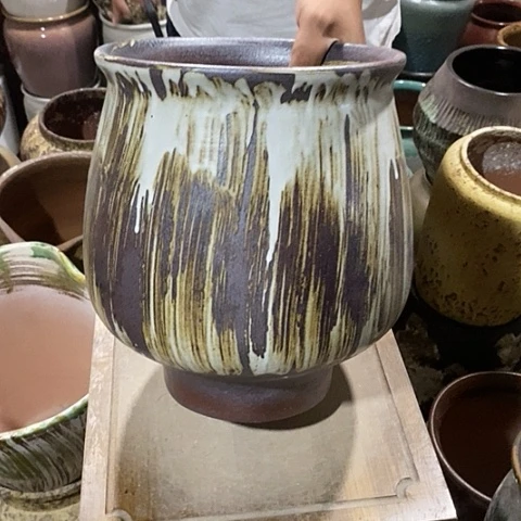 口21高度29蘑菇888