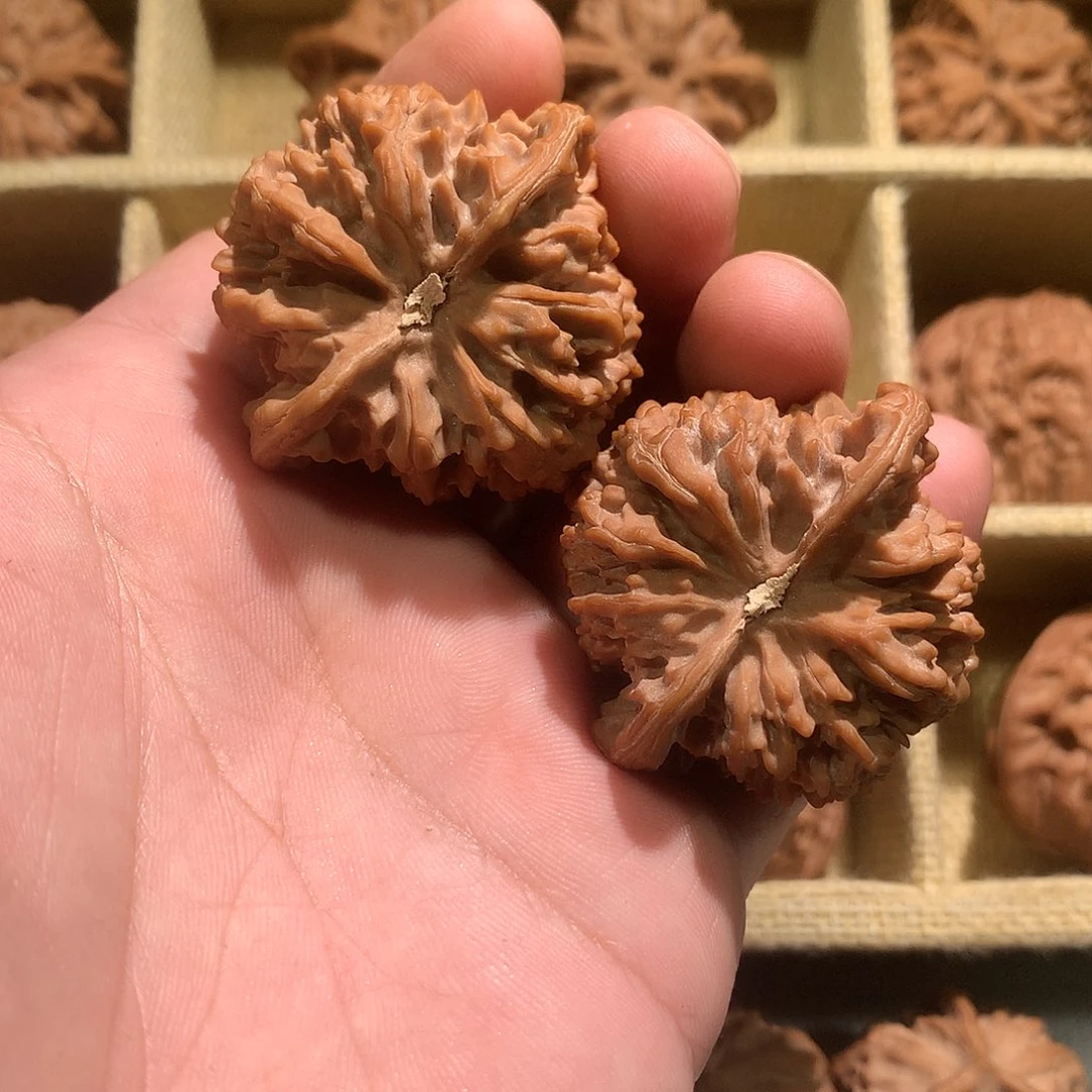 s***_吊坠文玩核桃文玩核桃 老树满天星