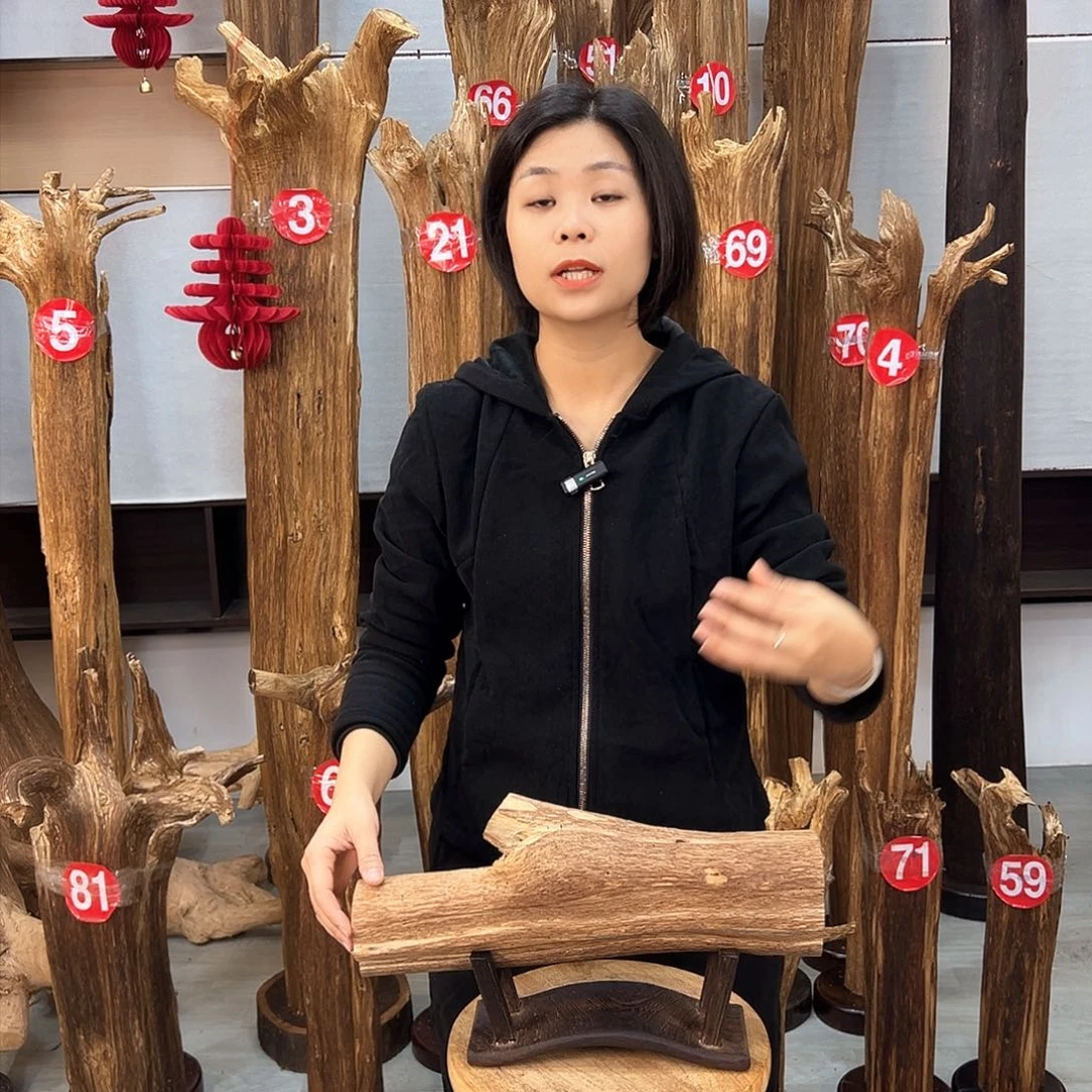 沉香摆件海南沉香摆件