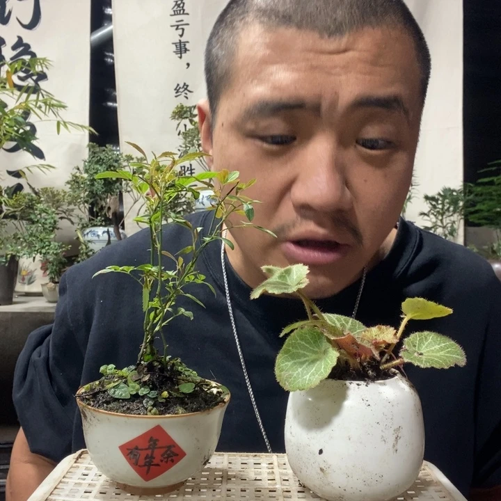 无花朵退款拉黑拉黑27