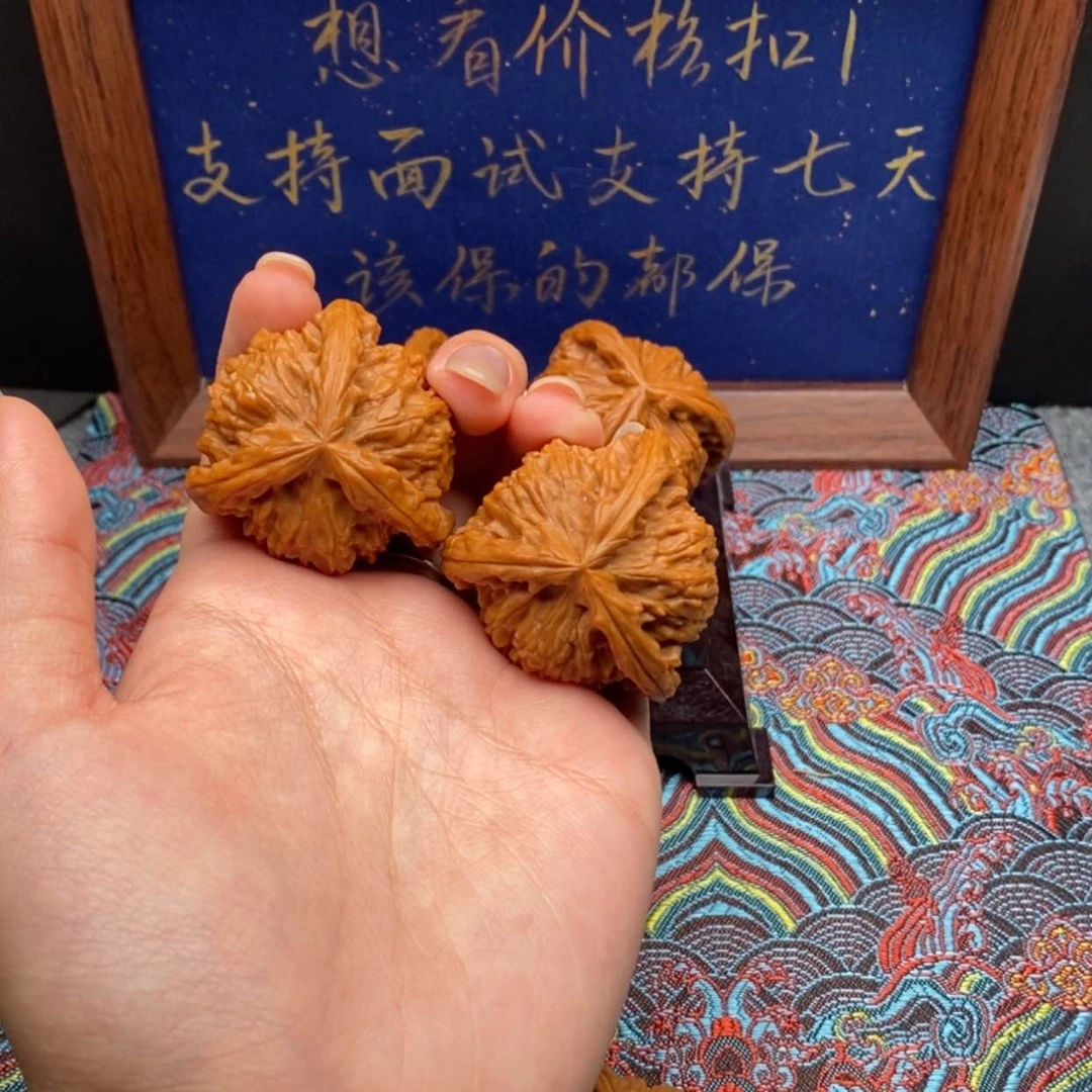 【闪购商品】郑**虎白狮