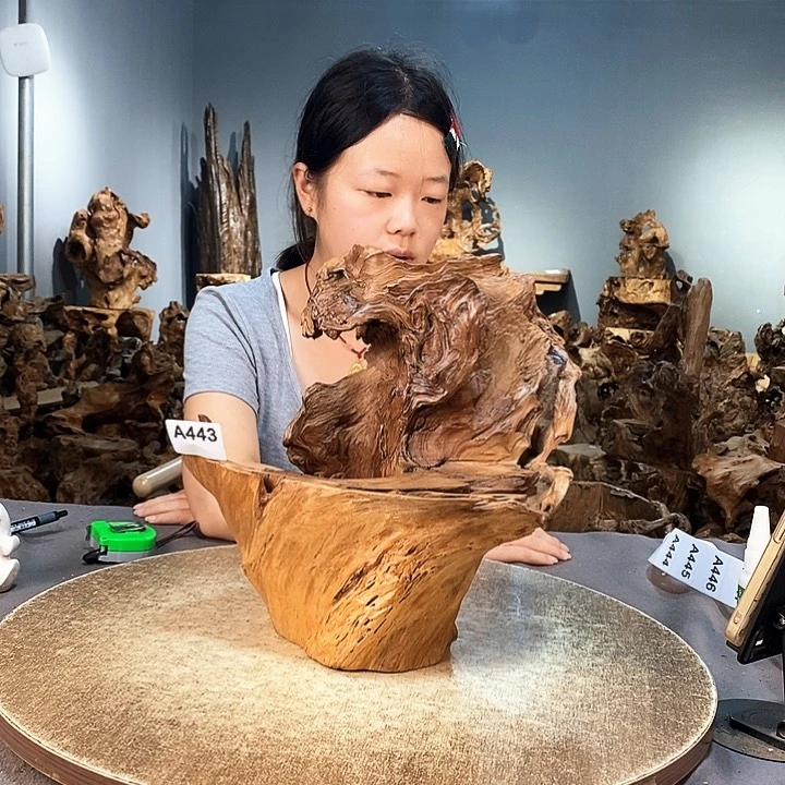 茶盏葫*妞443株木随行的小根艺