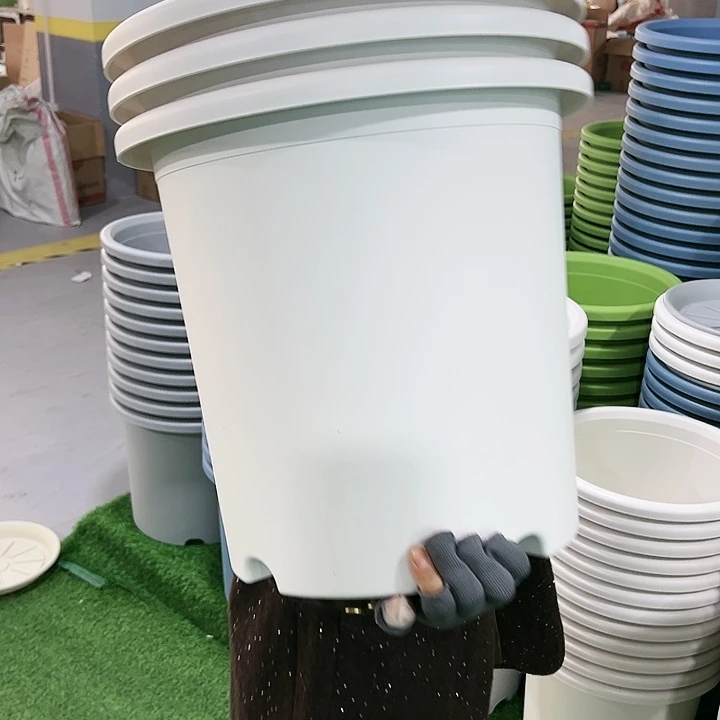 特价8号四季口39.4高37白色无托3只